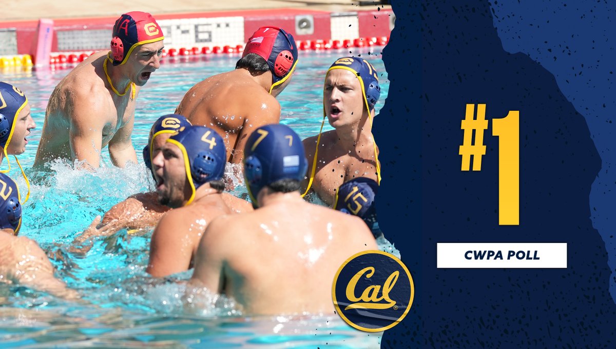 CalWaterPolo's tweet photo. Back in familiar surroundings

#GoBears https://t.co/3F9lkA4aQY