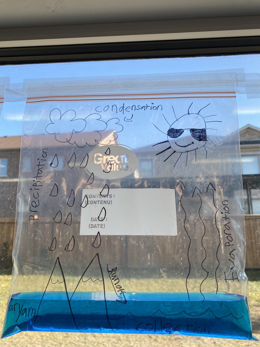 The Grade 2s continued learning about the Water Cycle today. After reading Journey of a Water💧, we created our own mini water cycle experiment in a bag! We will be observing what happens next! 💦 ☀️ 🌧 <a href="/MrsNelson_hdsb/">Mrs. Nelson's Class</a> <a href="/DesmondHDSB/">Viola Desmond Public School</a>