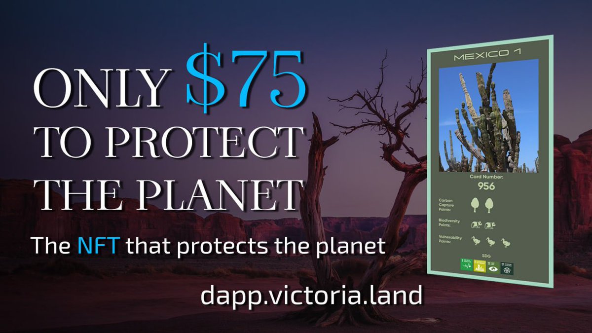 VictoriaLand tweet media