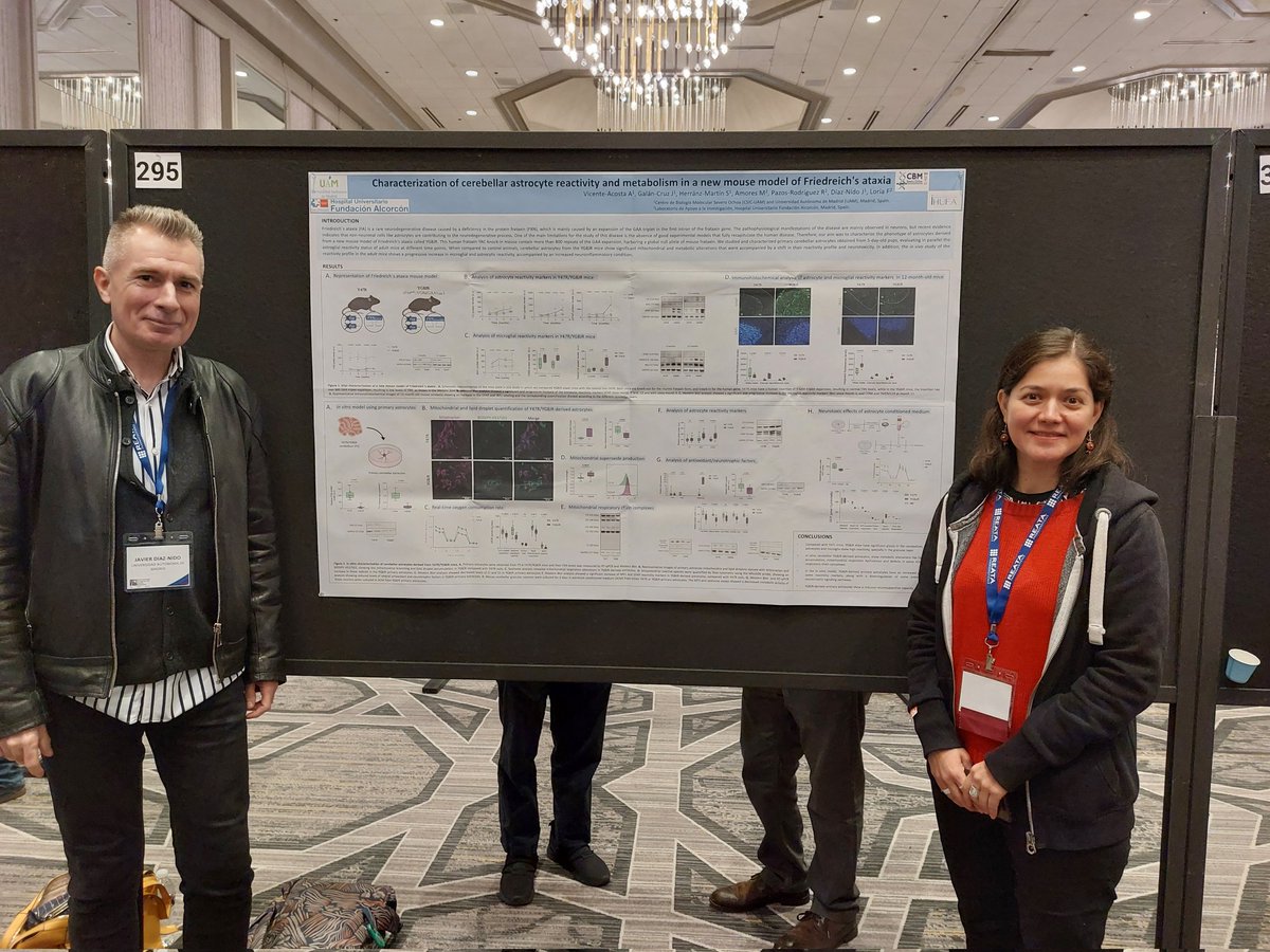 Presenting our work on experimental models of Friedreich's ataxia at the International Congress of Ataxia Research in Dallas
@icar_ataxia #icar2022 #ataxia
