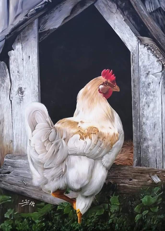 #جمال ..... #مرسومه