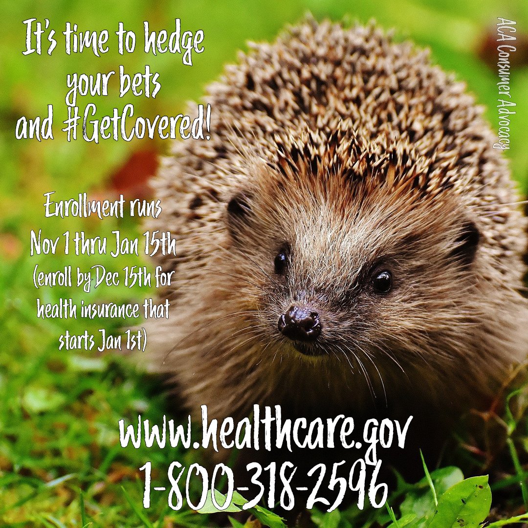 2021ACASignup's tweet photo. It's time to go to https://t.co/2r5EqEkEWx and #GetCovered for 2023! https://t.co/0Y7nNvpPC9