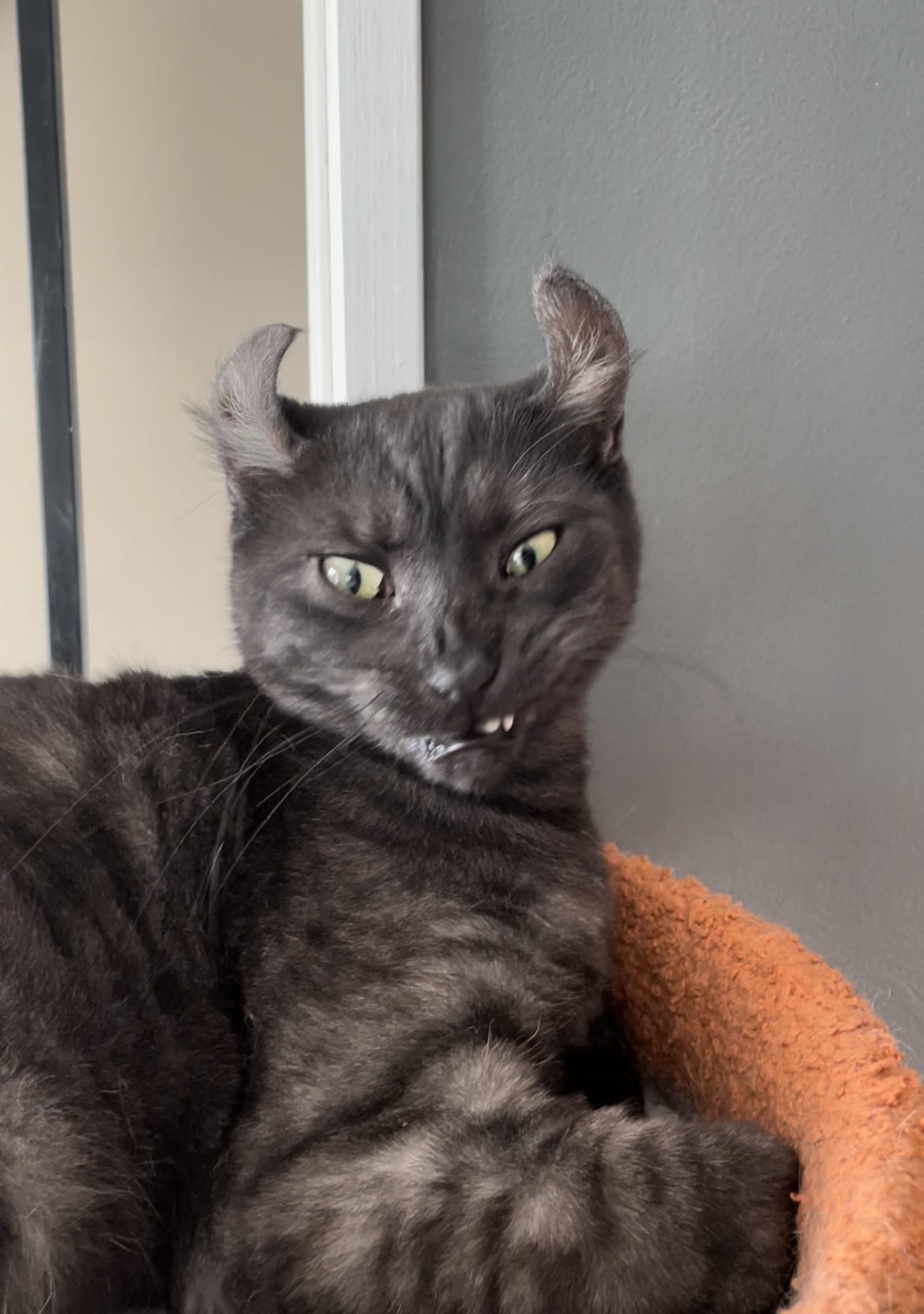 FglUZ6RWIA0sX2k?format=jpg&name=large