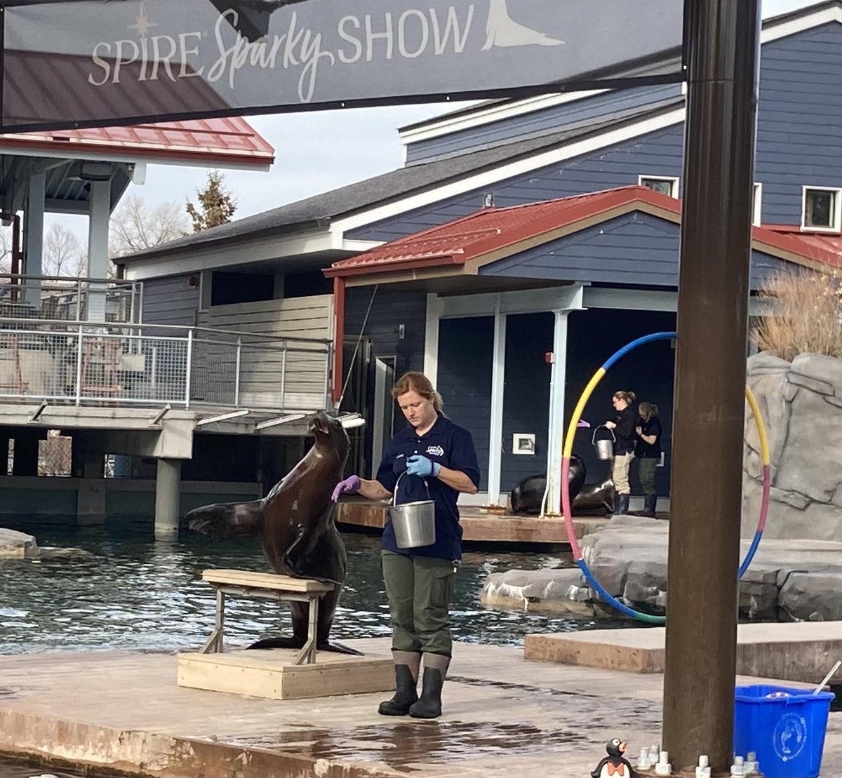 Como Zoo tweet media