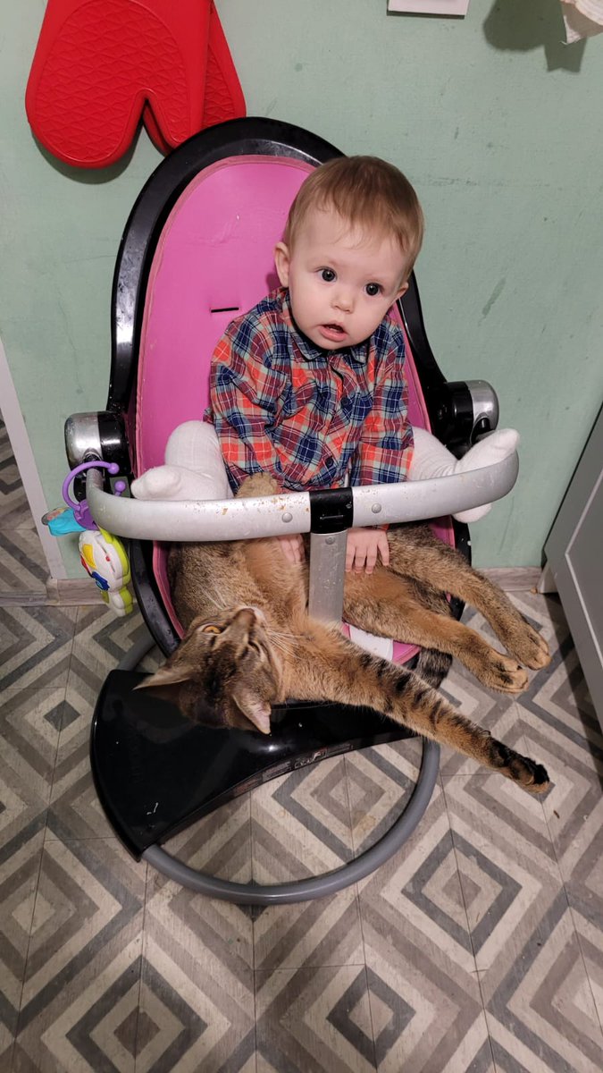 Отжать свой стул! Любыми путями...