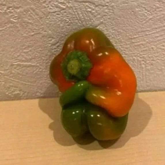 No sé si cocinarlo o abrazarlo y preguntarle que le paso 😥