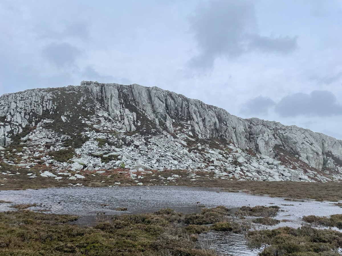 tsc_anglesey's tweet photo. Our windy walk up Holly Head Mountain 👍 https://t.co/D8edhXzZHj