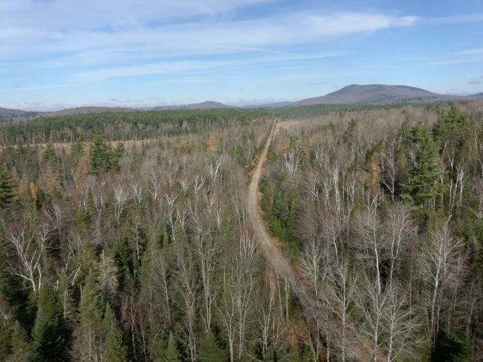 Excited to be in Saranac Lake with <a href="/OGSCommissioner/">Commissioner Jeanette Moy</a> and <a href="/NYSDOT/">NYSDOT</a> to break ground on the 34 mile Lake Placid to Tupper Lake Rail Trail. 1st phase of this world class trail will be complete in 2023. Thx <a href="/GovKathyHochul/">Governor Kathy Hochul</a> for the resources to get this done! governor.ny.gov/news/governor-…