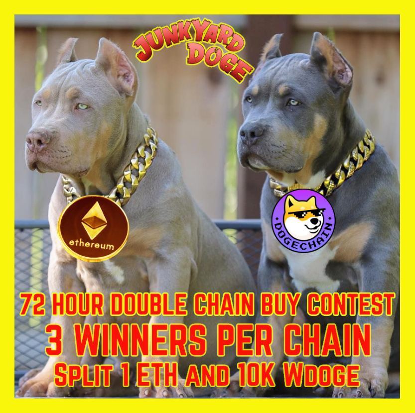 Join us in our community 72 hour buy contest on #dogechain and #ethereum! Top three with the highest buys per wallet on both chains will win a prize!