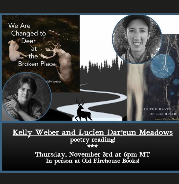 Catch our authors at these virtual events!
TONIGHT, 6PM Arwen's virtual event with Kristine Langley Mahler at <a href="/Malaprops/">jence</a>
malaprops.com/event/live-str…
TOMORROW, 6PM(MT) @darjeun's virtual event with 
@KellyWeberPoet at @OFirehouseBooks oldfirehousebooks.com/event/poetry-r…
