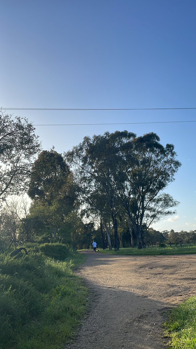DeadMorganism's tweet photo. Marvellous morning for a walk #closeyourrings #steps #walk #ranchorelaxation #peaceful #calm #todayisgonnabeagoodday #lovegippsland https://t.co/jagrX1gU8G
