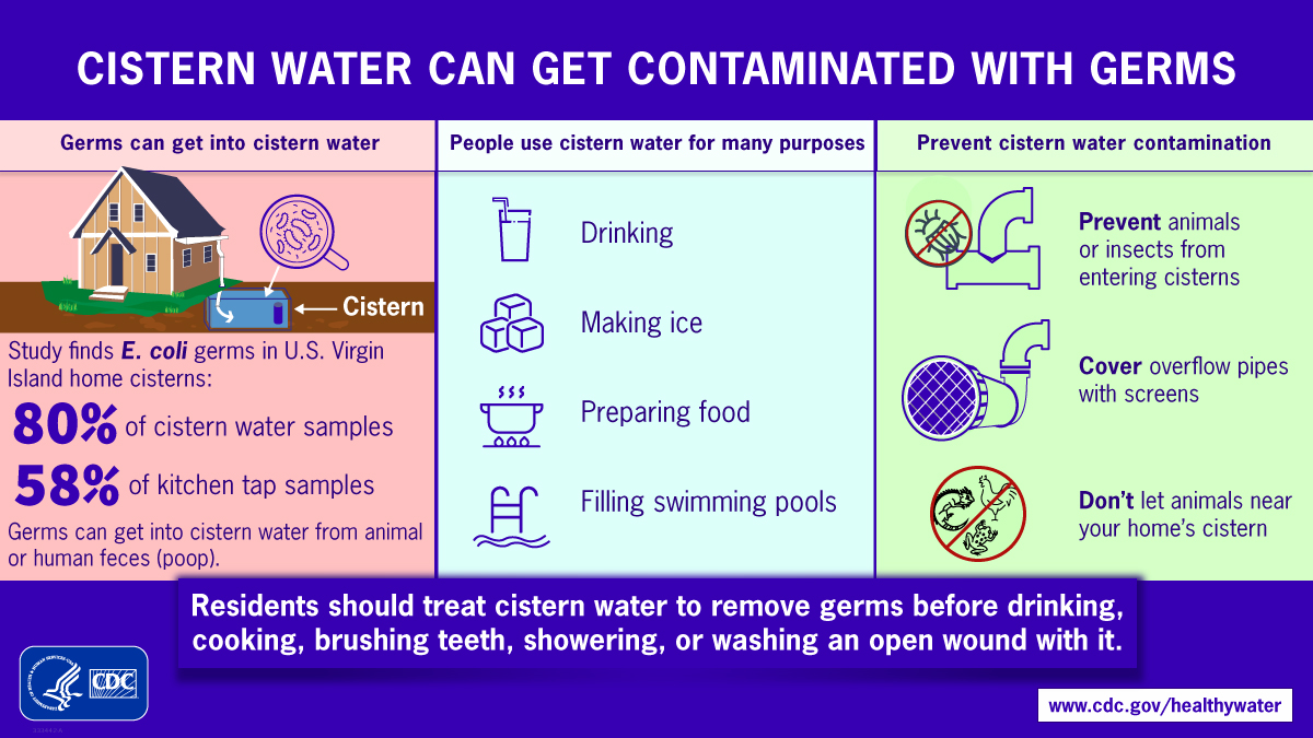 A new study shows germs that can make you sick can get into cistern water. If you use cistern water, treat the water to remove germs before using it for:
 - Drinking
 - Cooking
 - Brushing teeth
 - Showering
 - Washing an open wound
Read the study:  bit.ly/3D7XvFE