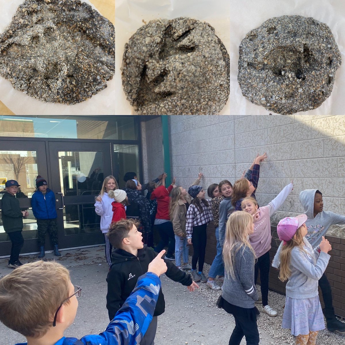 MissR_Teacher's tweet photo. 4C learned all about fossils this week. We read about them, made them and then went on a fossil hunt in the limestone around @NESHanover #Grade4Science #Fossils #HandsonLearning #HSD #hsdlearns https://t.co/gaRRgAY1Rj