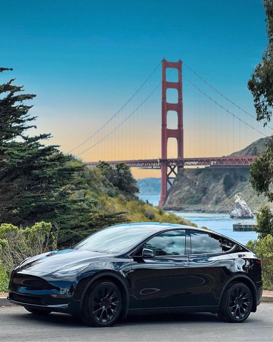 Tesla Media 🇺🇦 tweet media