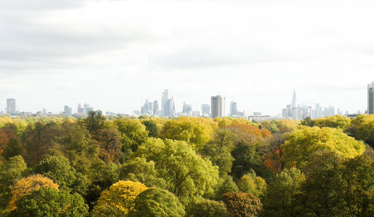 Breathtaking views of Hyde Park and the London skyline, only at the Royal Garden Hotel 🌳🏙️