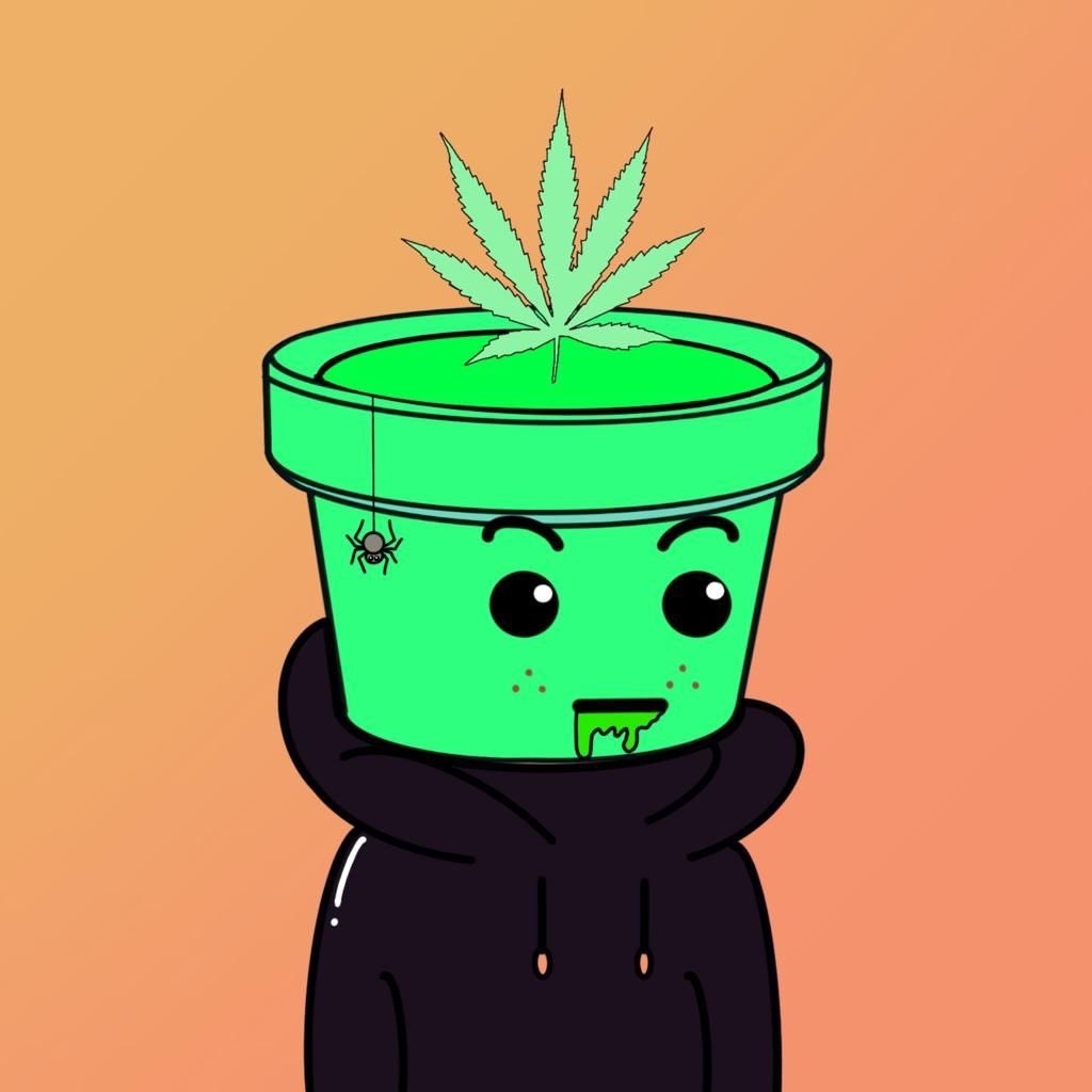 Potheads_club's tweet photo. ☘️FREE MINT☘️

🪴This is to inform all that we will  launch our collection again, making it FREE MINT this time as we didn’t get desired or successful mint. Thus, new mint date will be announced soon. 

🪴We are also filling few WL spots again. 

😵So, Stay HIGH and Stay TUNED 😵 https://t.co/zCSlOtJZOM