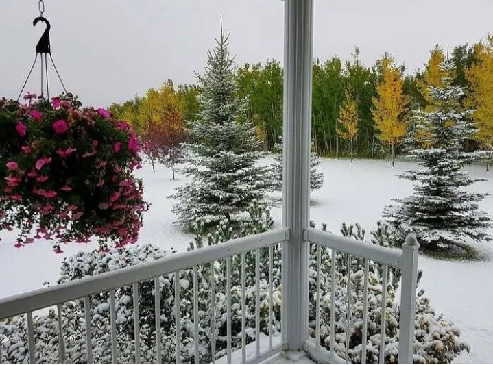 AvsLarisa's tweet photo. 🌨️🌤️🍁 Сразу три сезона за окном, какая красота! https://t.co/8BvvOlSWlW