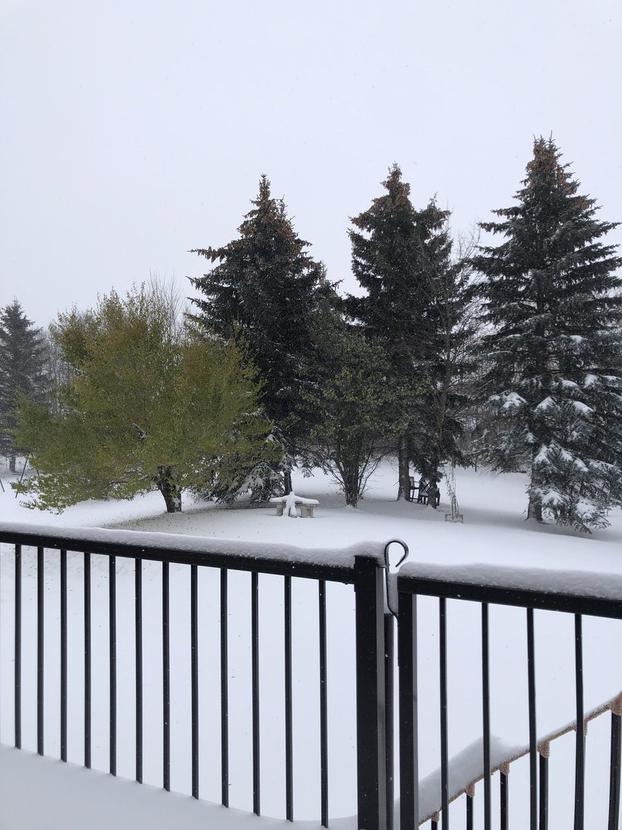 ThePamdemic's tweet photo. My 52nd winter😒all this in 12 hours. #coldhell https://t.co/Gv1hTixjgK