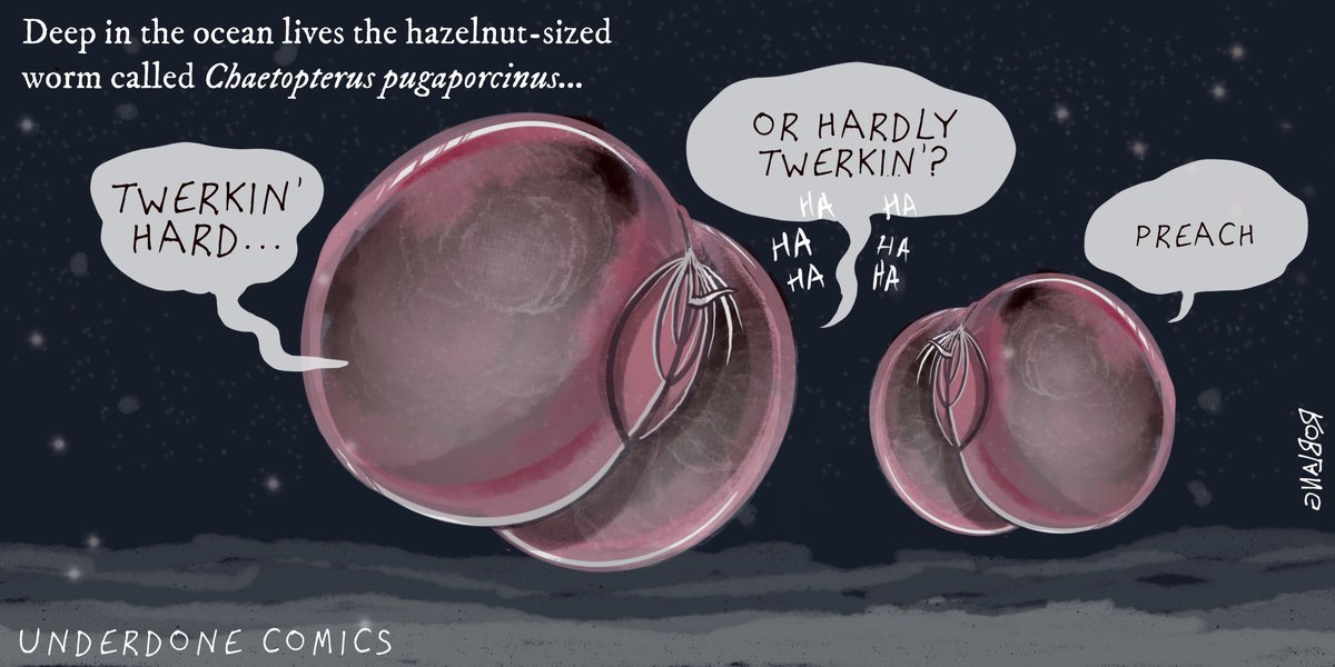 UnderdoneComics's tweet photo. Everybody’s twerkin’ for the twerkend. 

#worm #worms #science #biology #webcomic #deepsea #ocean https://t.co/EJtQyDf5YY