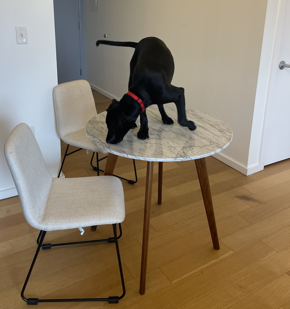 <a href="/Chewy/">Chewy</a> If you can help me find some toys to occupy my dog while I work, I'll help you grow revenue/web visitor with Predictive Personalization..deal?