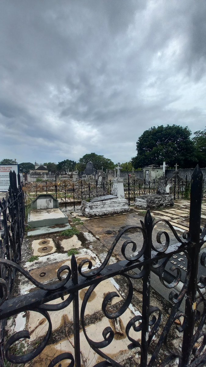 IrisCeballos's tweet photo. Los olvidados. El deterioro de algunas tumbas y mausoleos es evidente. #cementeriogeneral #Mérida https://t.co/zTG1xF16Vf