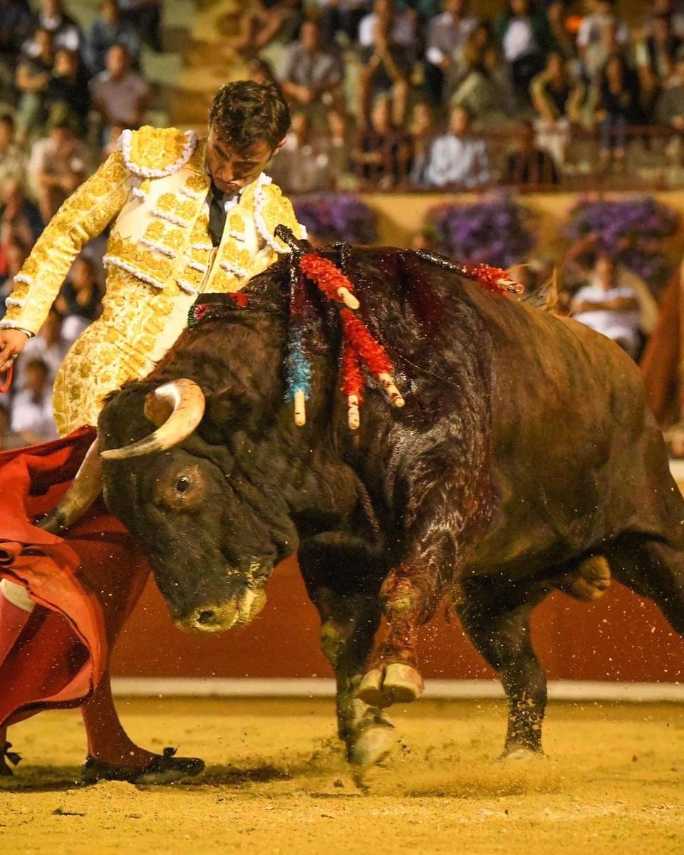 #OuiàlaCorrida 🇫🇷 !!!