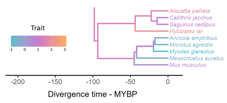 fonti_kar's tweet photo. We are very lucky to have @BenJJWalker show us how to make pretty #phyloviz in R! Join us 7 Nov Monday in person 2:30pm Teaching Lab 3 #UNSWcodeRs Sign up here: https://t.co/2bCAMTXF1b @unswbees @CES_UNSW @UNSWScience https://t.co/TiGpEUsQsU