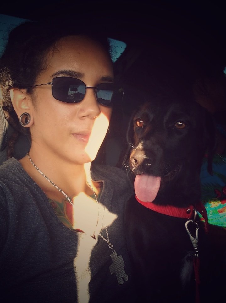 rayavatara's tweet photo. Bebel 😍 #dogslife https://t.co/ewnBfKrKu7