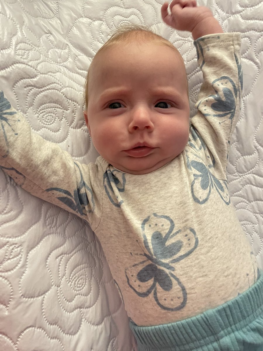 ambengel44's tweet photo. 12 weeks old! Getting so big, so fast… Mama needs time to slow down. https://t.co/KCYPrtoLX7