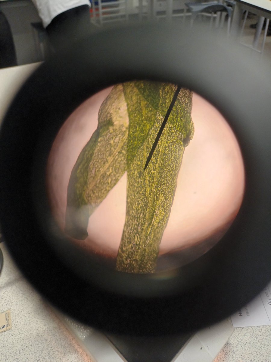 harrisphysics tweet media