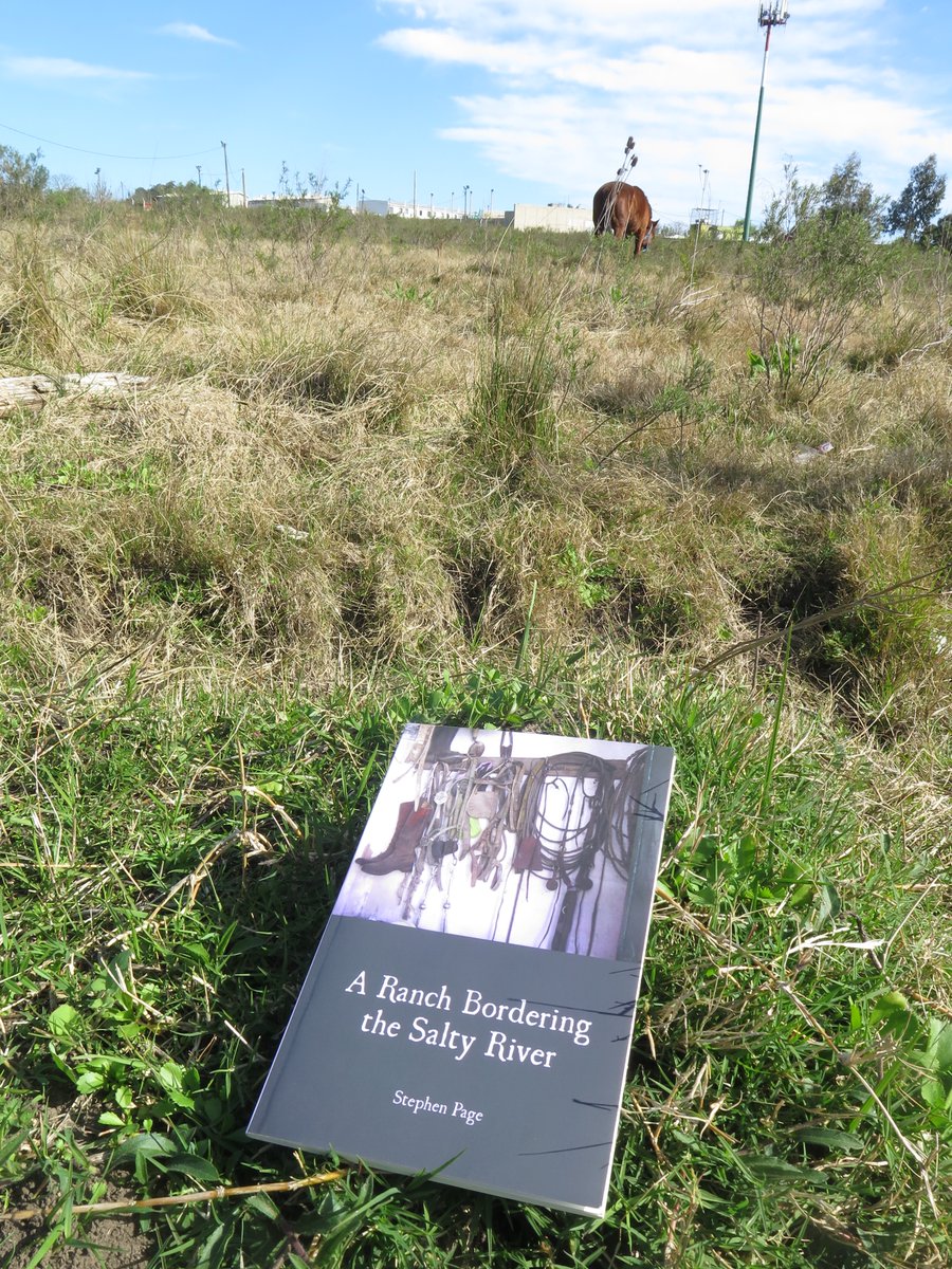 SmpageSteve's tweet photo. @elysehartpoetry A Ranch Bordering the Salty River
by Stephen Page @SmpageSteve
https://t.co/COdM112OxT
https://t.co/4TSUorOzlL
https://t.co/LhUW56BraU
https://t.co/ZGeImidFeD
@FLPress #poetry #stephenPage https://t.co/oxAJaEmTqv