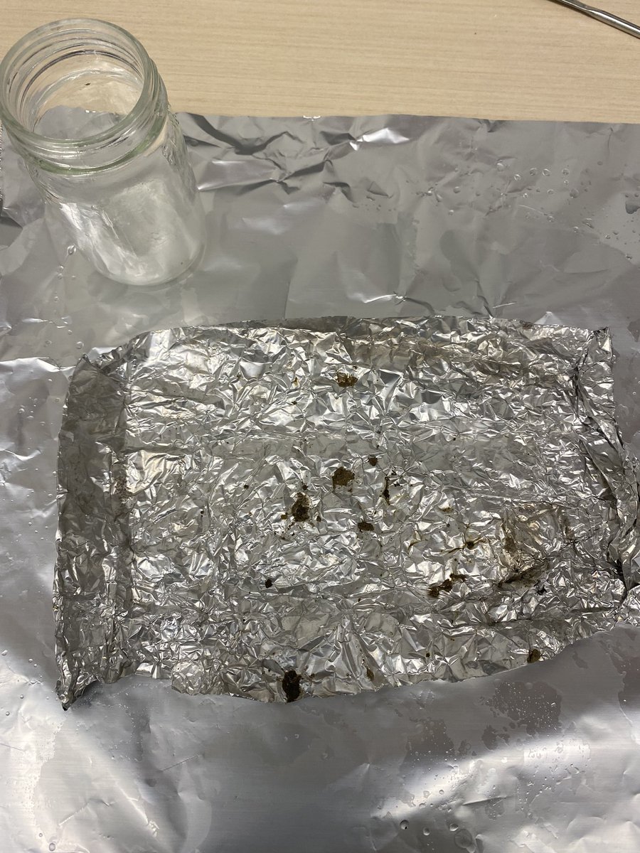 eveconnection's tweet photo. THIS IS WHAT I CALL A GOOD POOP!
#shorebirds #microplastics #poopsamples #ornithology @BirdsCanada_BC @MitacsCanada @usask https://t.co/Peif68i3S4