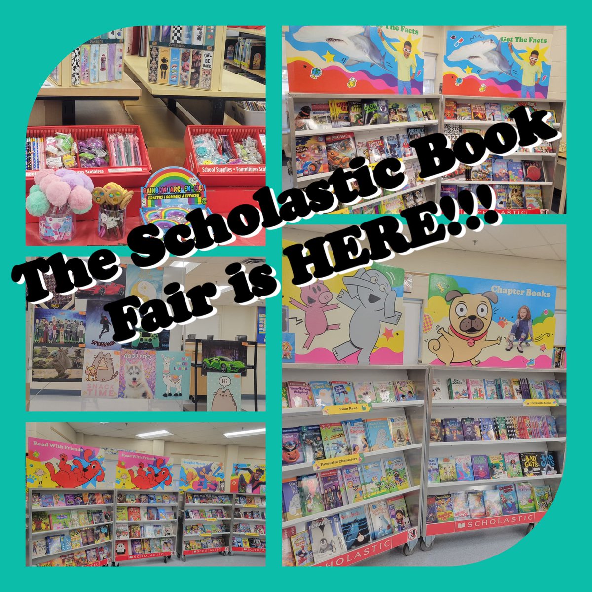 Scholastic Book Fair is coming to Stein! Nov 3-15, 2022 from 9:00am-12pm &amp; 1-3:30pm. Special time on Nov17 from 5-7pm! Any student that purchases an item from the Book Fair will be entered in a draw! We also have a virtual bookfair. #dpcdsb