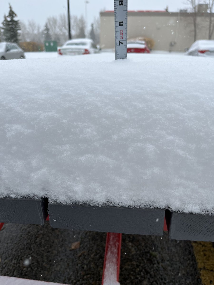 shackapatate's tweet photo. 6” this morning on the picnic tables! Now’s the time to move them out don’t ya think🙄. Tried to hold on as long as I could Shack Nation. #shackapatate https://t.co/14J7cgLWhS