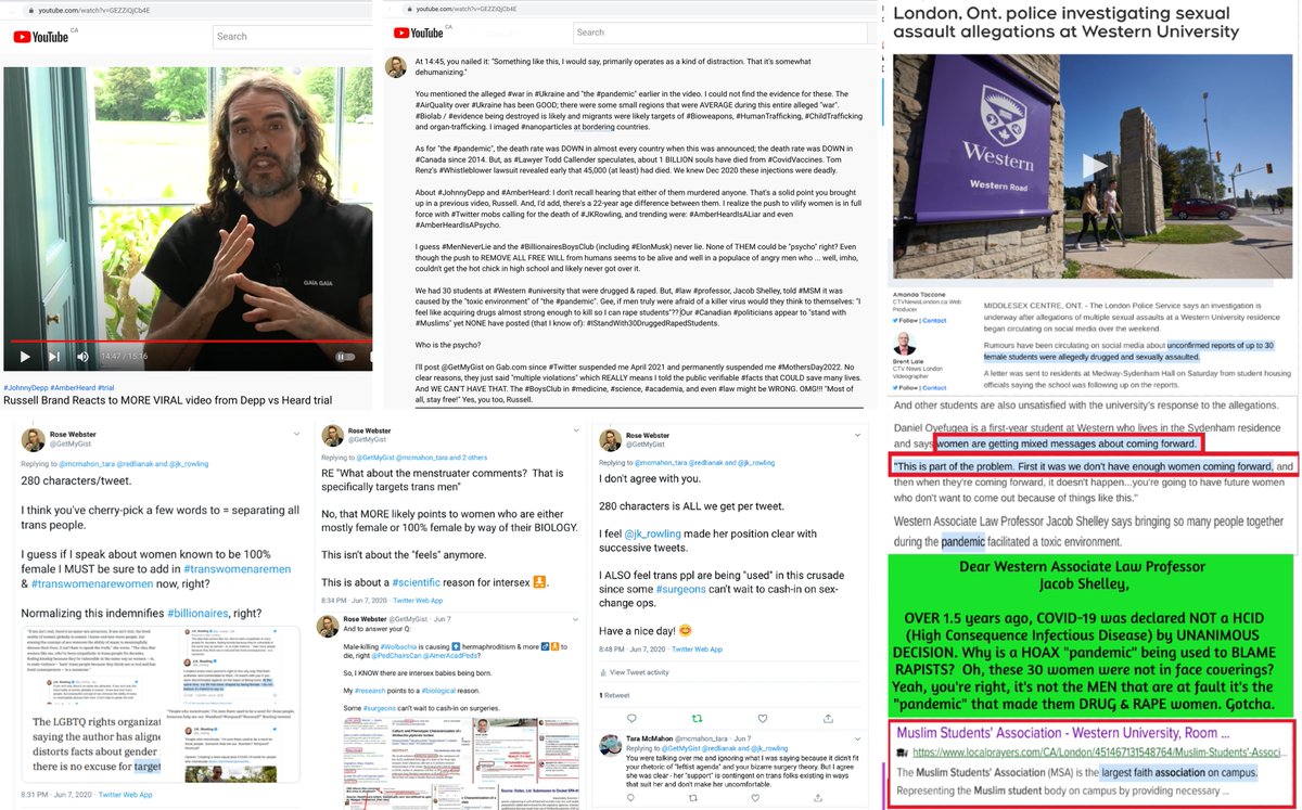 maggini_19's tweet photo. Rose Webster ♀️🇨🇦here. I didn't watch the #DeppVsHeard trial; only saw what @rustyrockets posted. It was a distraction from the #PfizerDump, imo.
Both are actors yet #AmberHeard was accused / bashed with #golddigger, #liar, etc.
More evidence does support #JohnnyDeppIsAnAbuser. https://t.co/ONjlSQz2oz