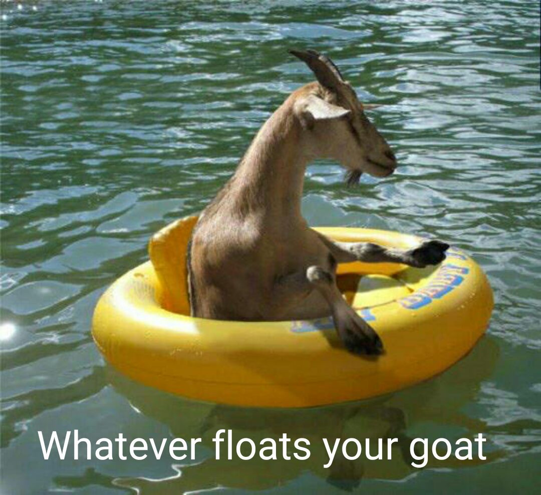 allaudeens's tweet photo. @DMKITwing #GOAT is busy on pooja ! https://t.co/xTLZBij1kY