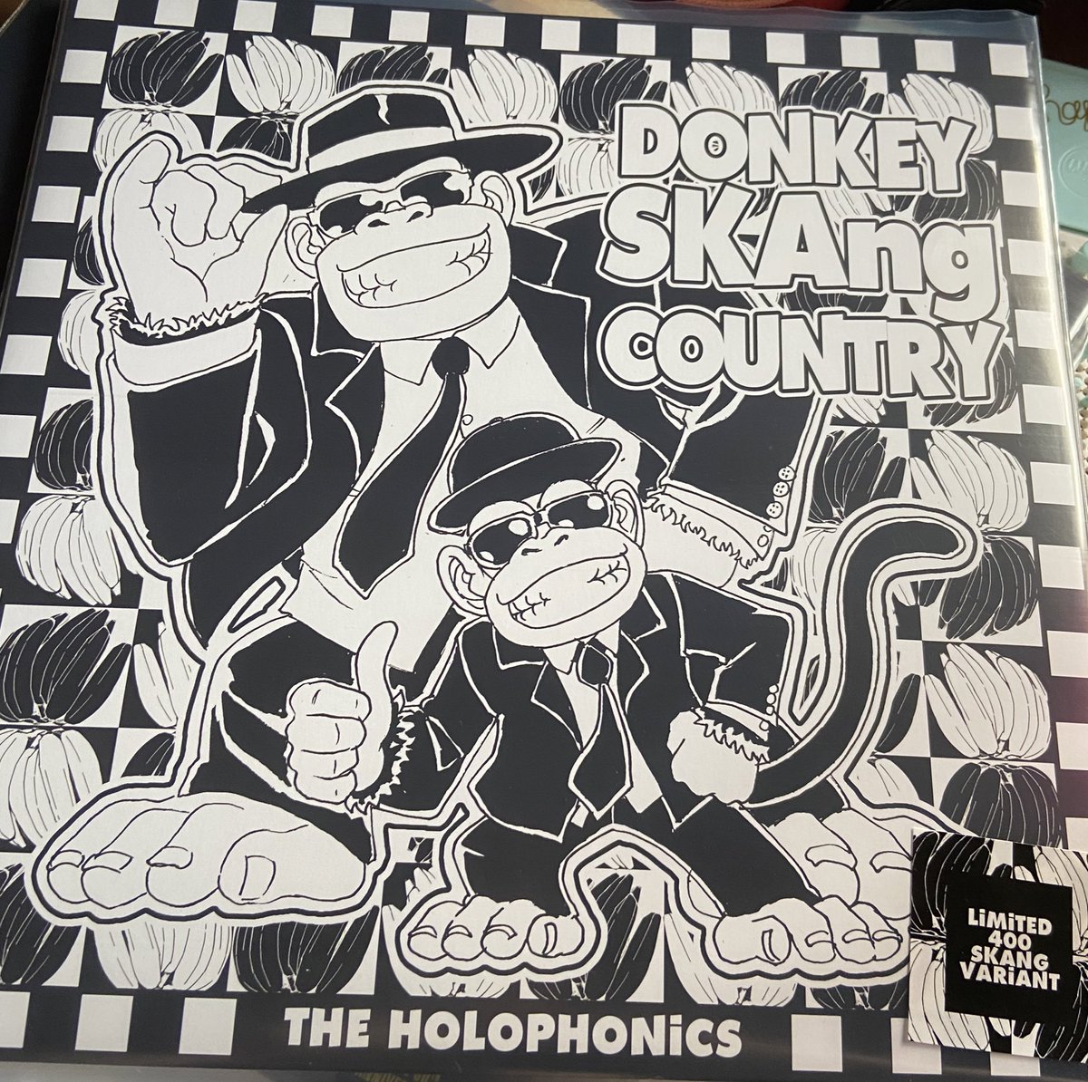 laborratz's tweet photo. und das wunderbare Stück Ska Donkey Kong Country von den Holophonics 🎉🦄#StickerbrushSymphony https://t.co/75lbXzKPY6