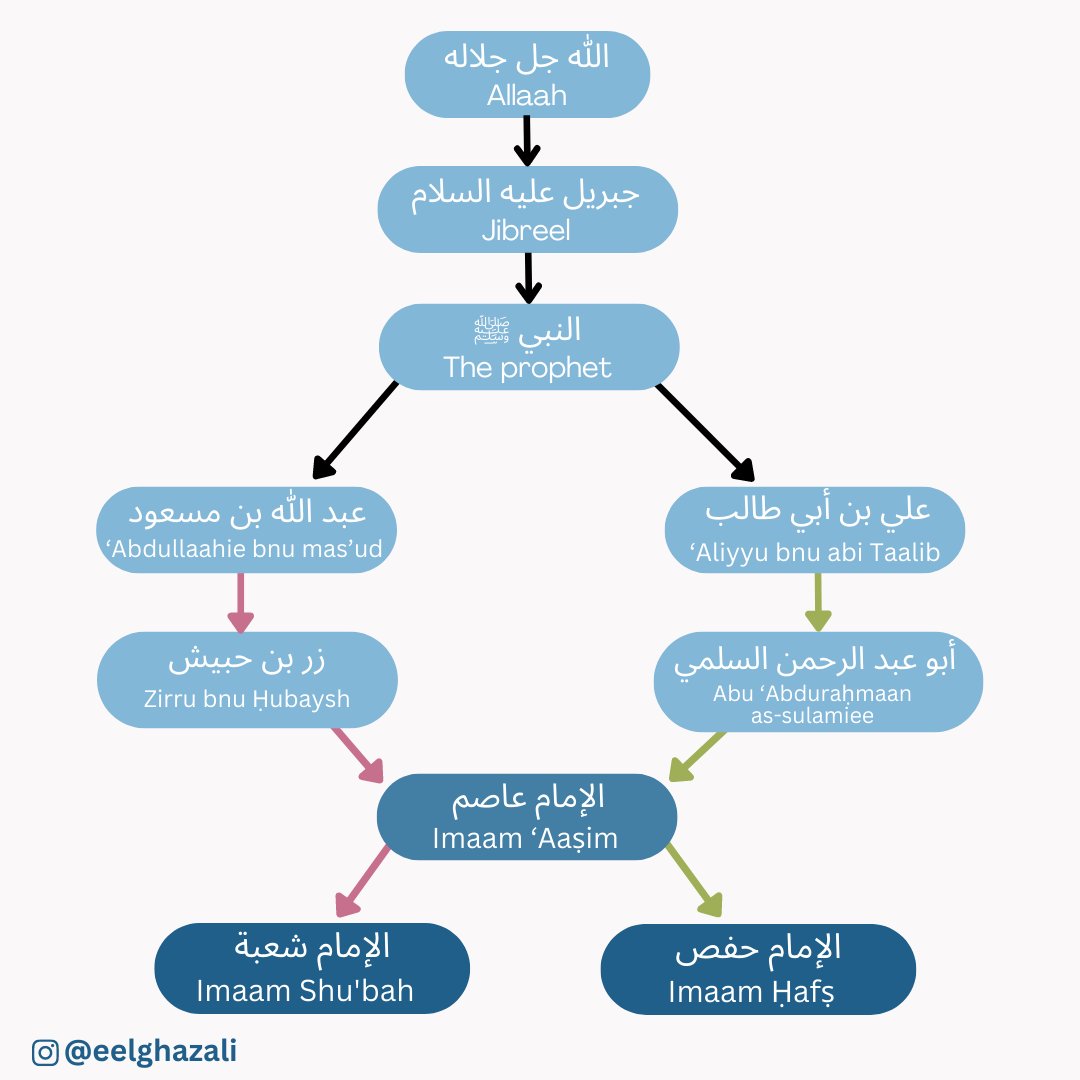 أم عثمان المغربية tweet media