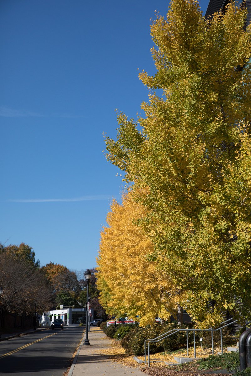 Amanda Steffen tweet media