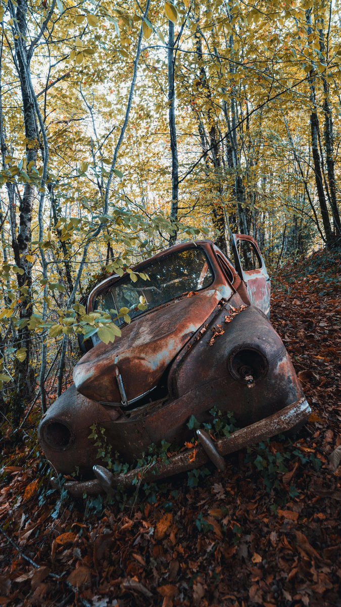 Treehouse Magic in France. 🍂