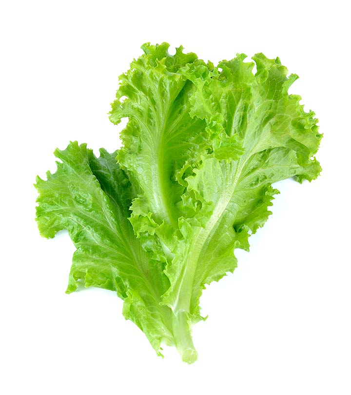 Agirite's tweet photo. Farmers remember that first wealth is health.
If you need fiber, iron, and vitamin C, lettuce is the solution. https://t.co/tx4WEv1SCX