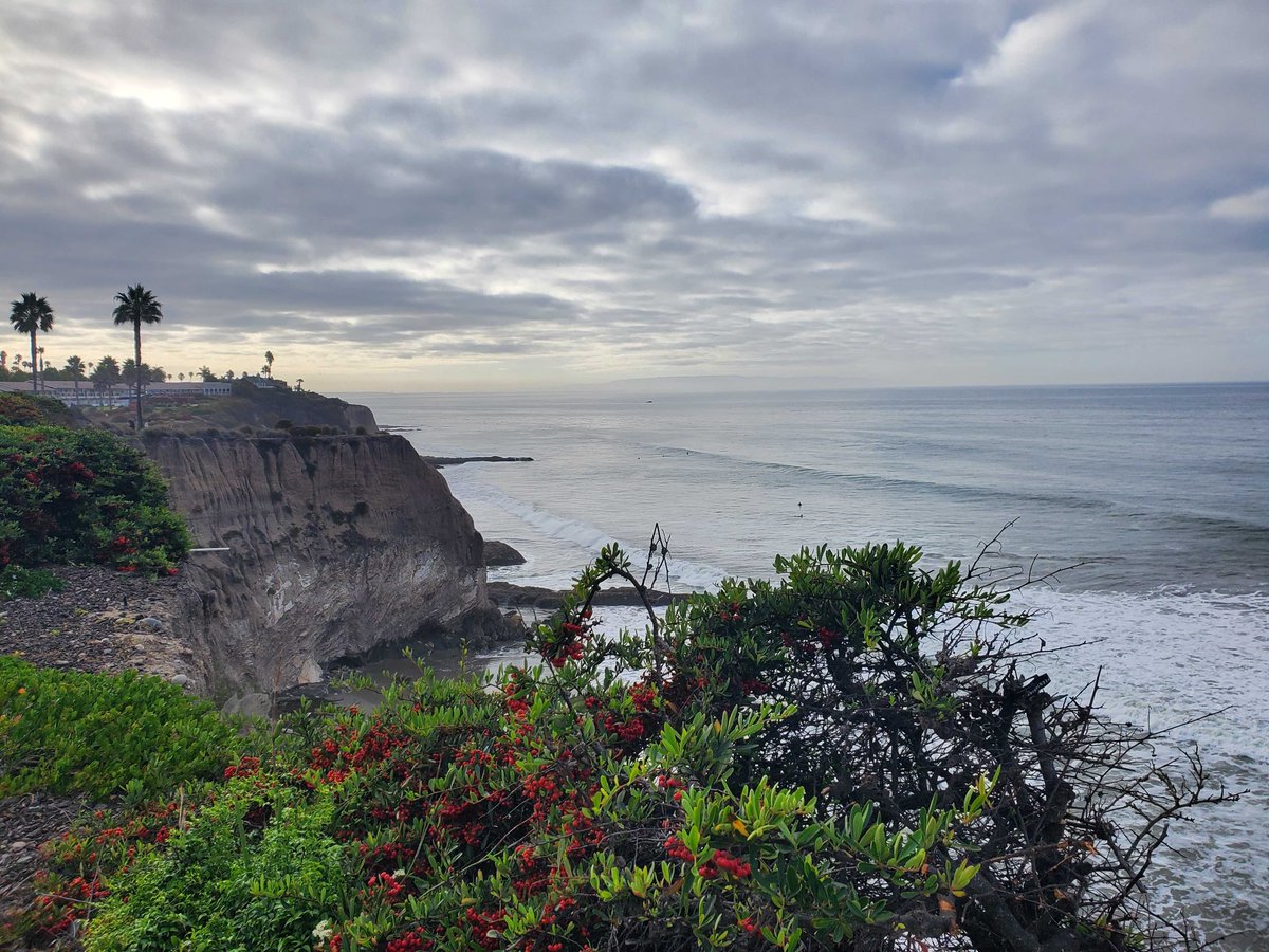 Interacting and presenting at the Vegetable Transplant Nursery Association Meeting #VTNA at Pismo Beach. Also, enjoying the beautiful location.
Send us your VTN samples for disease diagnosis, and contact us for any other concerns or questions.
#vegetablepathology #diagnostics