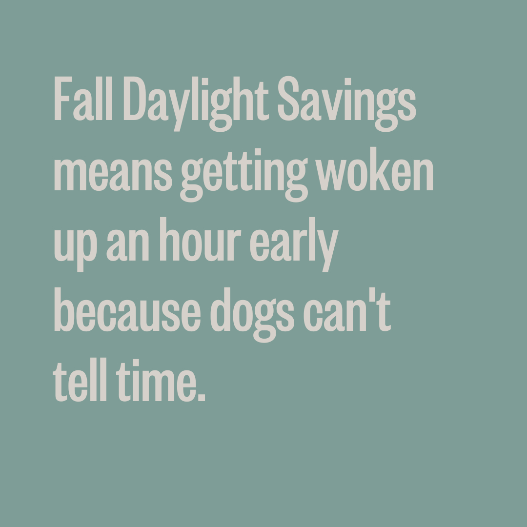 Just when you thought you were going to take advantage of that one hour of sleep on Sunday ...

#ToKnowThemIsToLoveThem #DaylightSavings