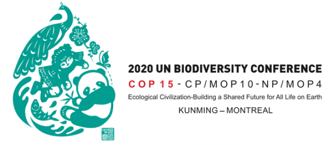 The <a href="/UNBiodiversity/">UN Biodiversity</a> #COP15 provides a global roadmap for the conservation, protection, restoration and sustainable management of biodiversity and ecosystems for the next decade.

Add your voice to the conversation by delivery of pledges to protect nature.
csaynglobal.org/action-agenda/
