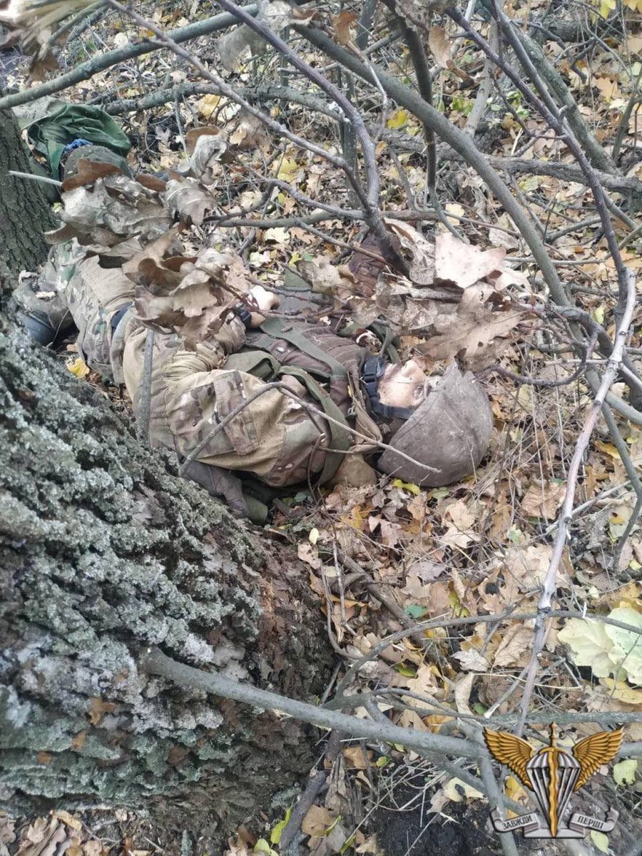 Shtirlitz53's tweet photo. Українські десантники знищили підрозділ російських окупантів. Їхніми тілами всіяна лісосмуга.
Telegram - https://t.co/GLExONeBFU https://t.co/1cX0t81uxA