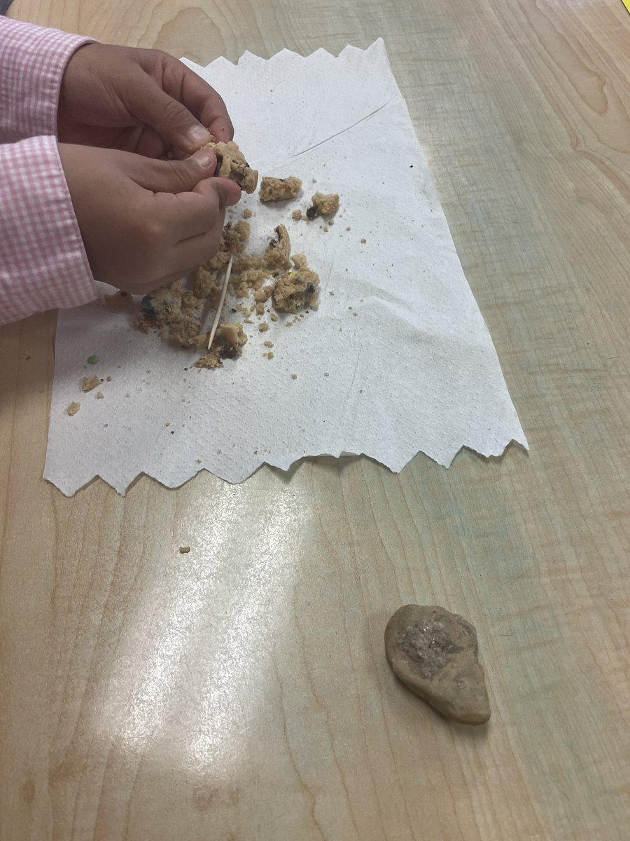 Kyla Kitchens tweet media