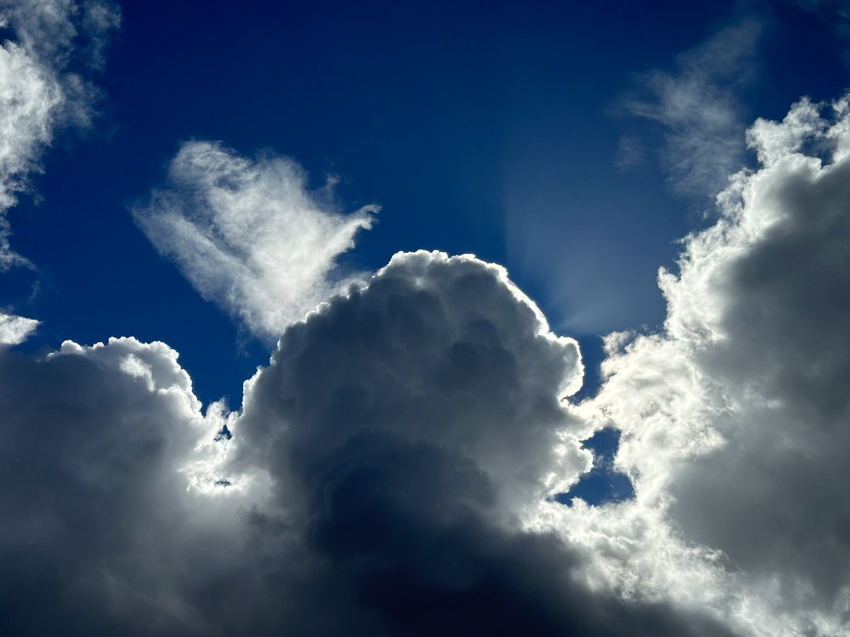 Alexander Wong tweet media