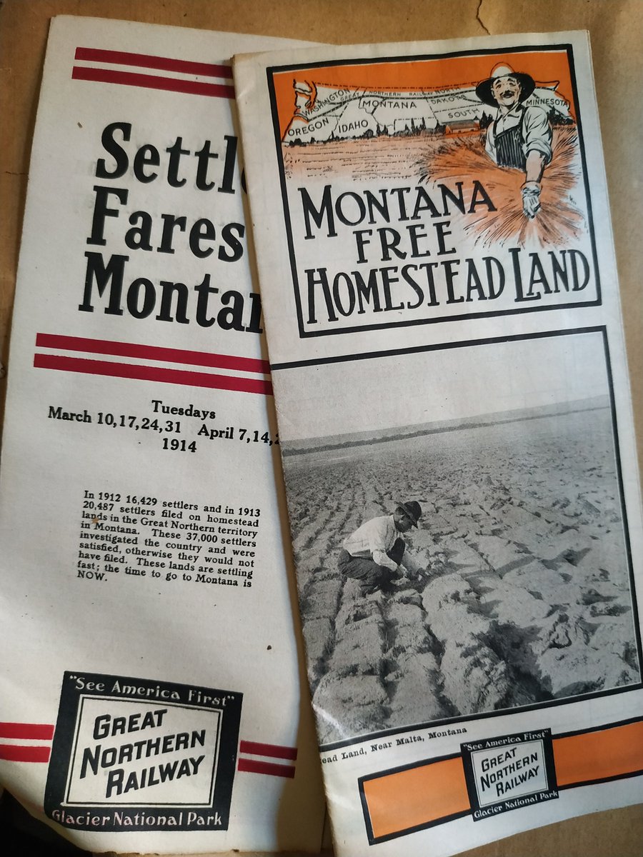 ASF-France tweet media