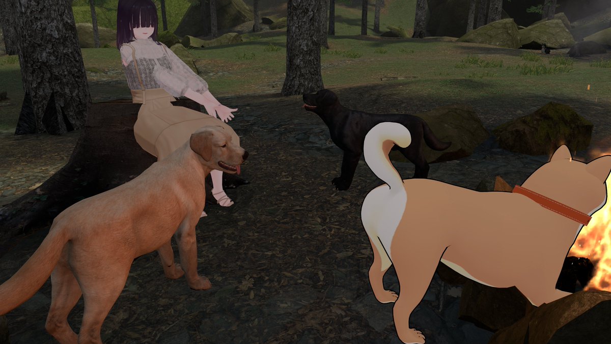 みとちゃん/cromwell@VR(趣味) tweet media