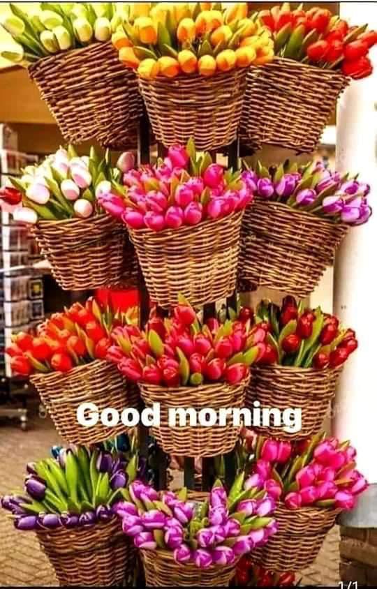 SudeshPanwar14's tweet photo. @PoonamS34754210 https://t.co/COcD2UKxMu